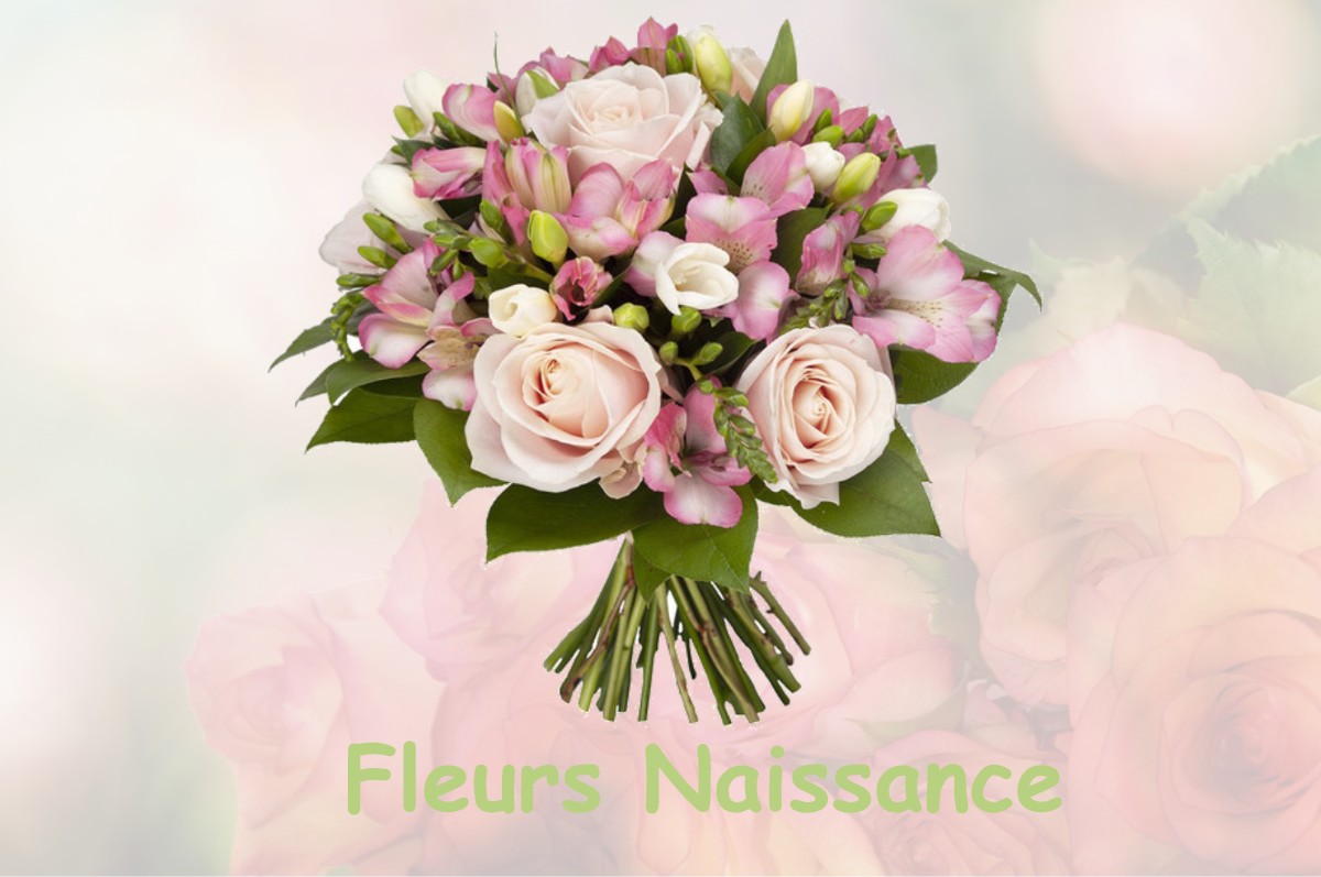 fleurs naissance LE-PLESSIER-ROZAINVILLERS