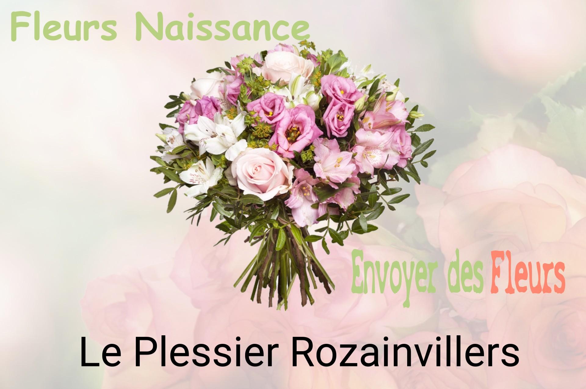 Bouquet de fleurs de naissance livré à Le Plessier-Rozainvillers