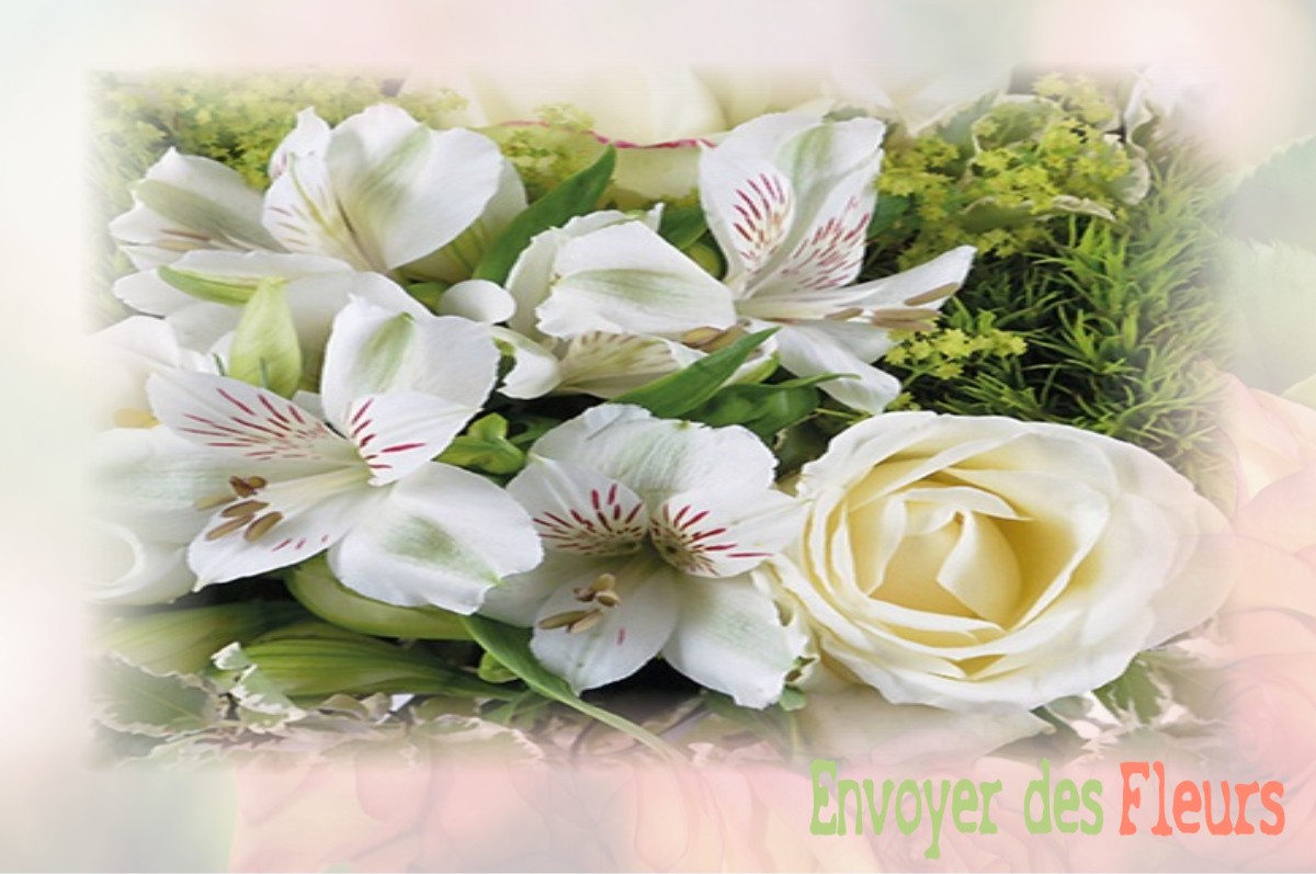 envoyer des fleurs à à LE-PLESSIER-ROZAINVILLERS
